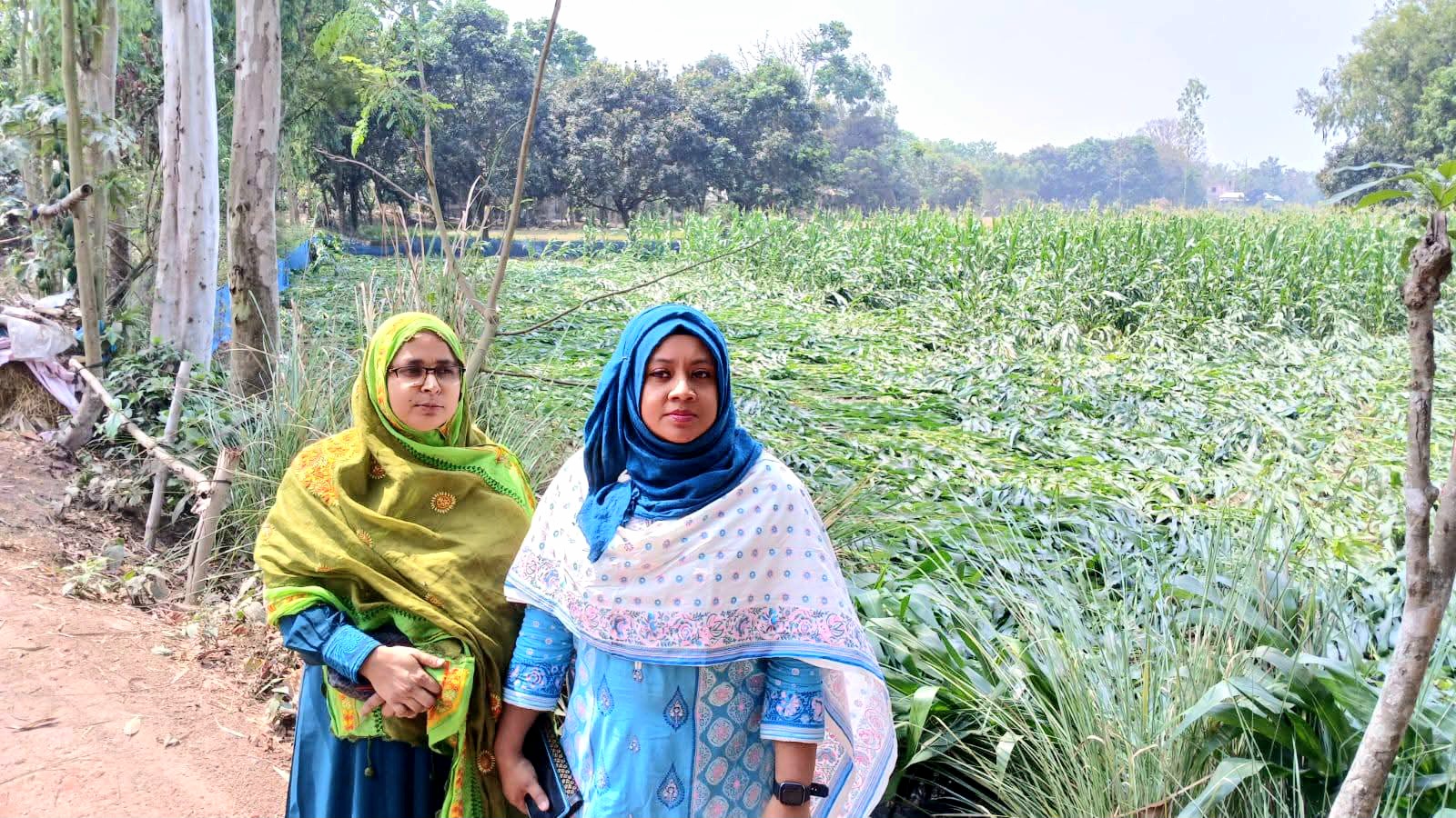 মান্দায় কালবৈশাখীর তাণ্ডবে ঘরবাড়ি ও ফসলের ক্ষতি, এলাকা পরিদর্শনে ইউএনও