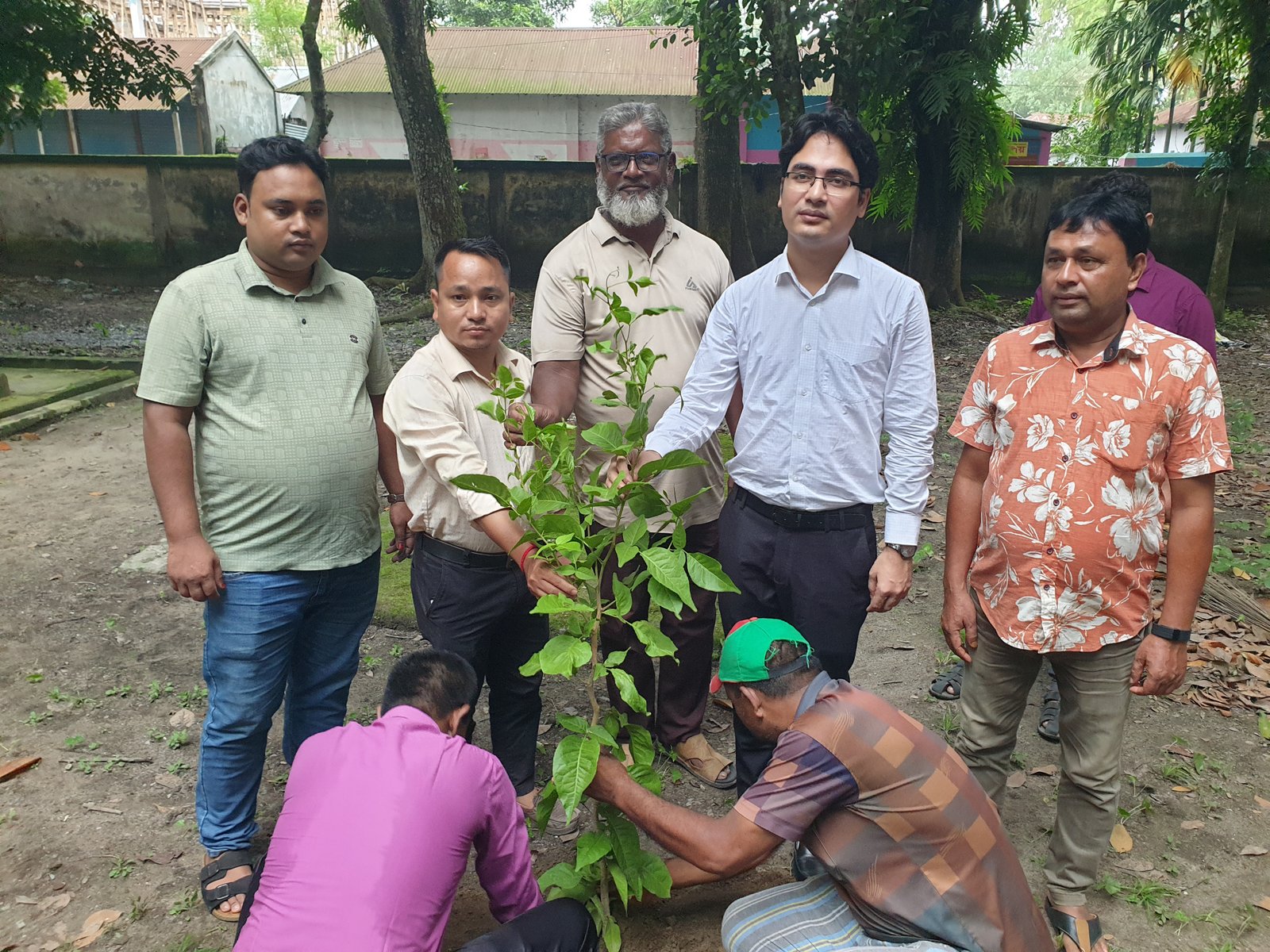 রুহিয়ায় গাছের চারা বিতরণ, অস্থায়ী উপজেলা কার্যালয়ে বৃক্ষরোপণ ইউএনও