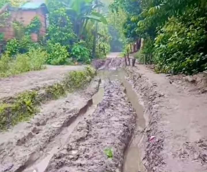 নাগরপুরে সারোটিয়াগাজী রাস্তার বেহাল দশা দুর্ভোগে হাজারো মানুষ