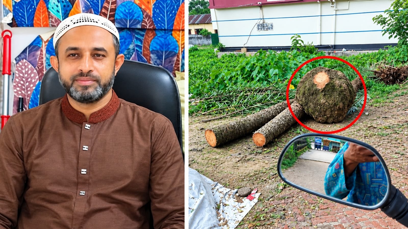 মাধবপুরে সরকারি রাস্তার পুরোনো খেজুরগাছ কর্তন, প্রধান শিক্ষকের প্রতিবাদ